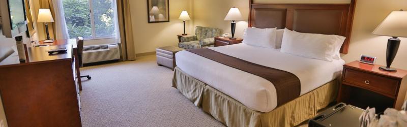 Holiday Inn Express & Suites Asheville Downtown By Ihg Dış mekan fotoğraf