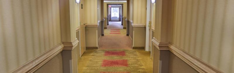 Holiday Inn Express & Suites Asheville Downtown By Ihg Dış mekan fotoğraf
